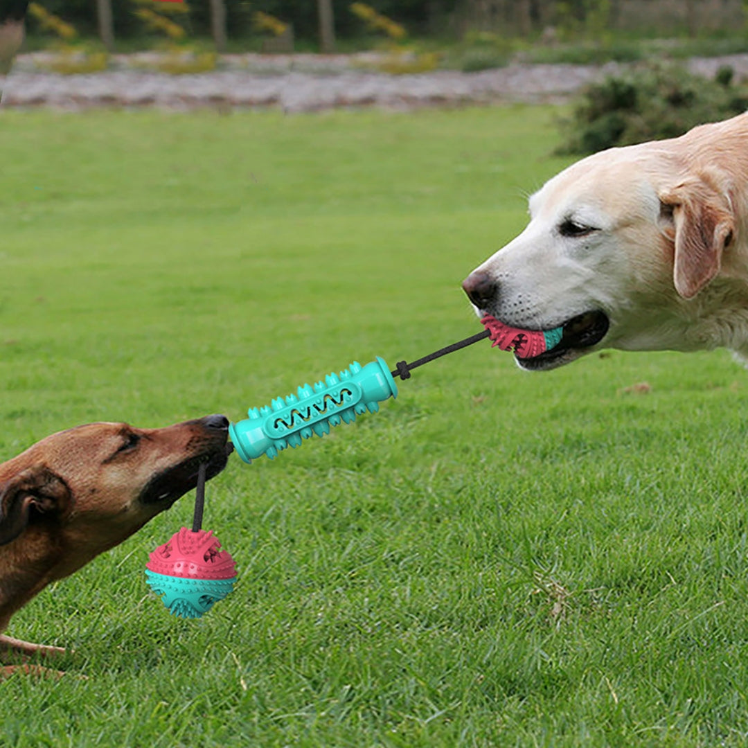 Unleash Joy and Health with Our Durable Chew Teeth Cleaning Stick Toy